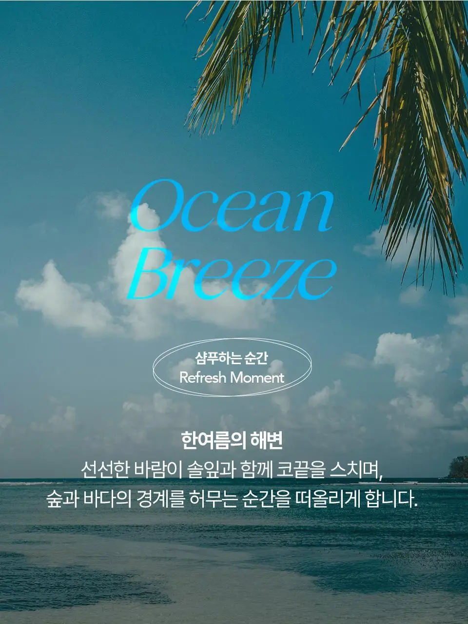 [비듬두피/정수리냄새] 트리셀 안티 댄드러프 샴푸 오션 브리즈 증정 기획(360ml+120ml) 상세페이지 24